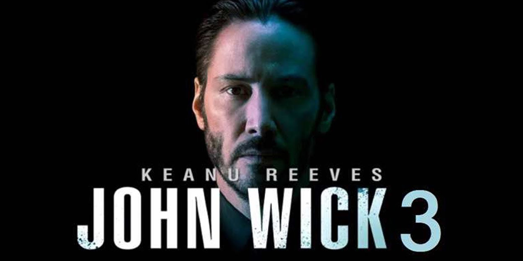 John Wick 3 Movie Poster Long